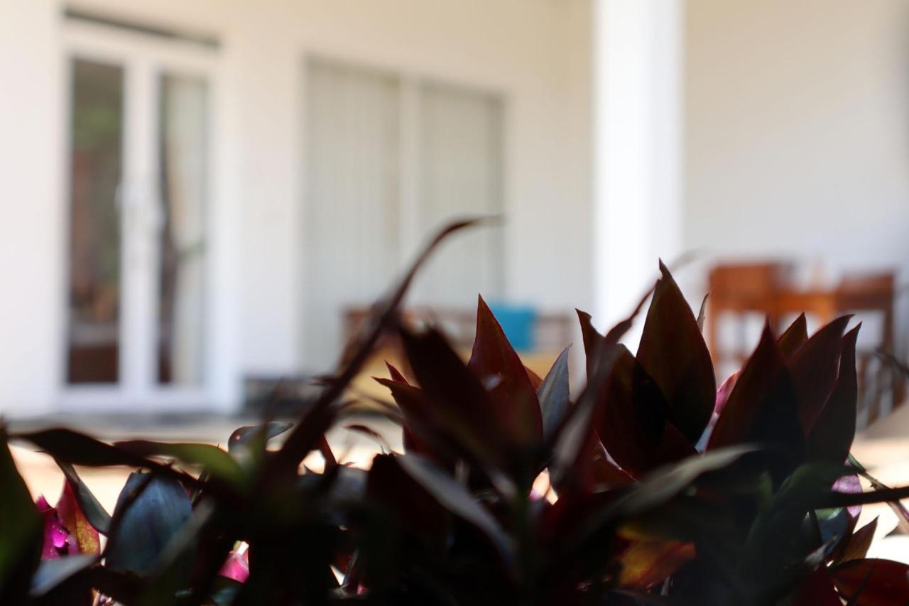 Ella Touch Bed & Breakfast Екстериор снимка